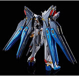 ＲＧ 1/144 ストライクフリーダムガンダムチタニウムフィニッシュ］ 4573102610393